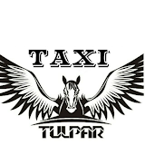 Tulpor Taxi Driver icon