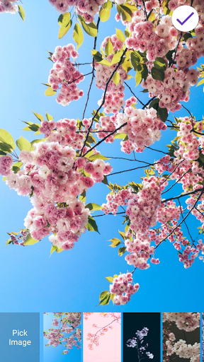 Android application Sakura Lock Screen screenshort
