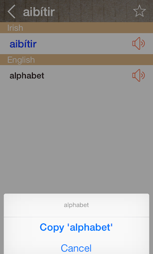 Irish English Dictionary Screen 3