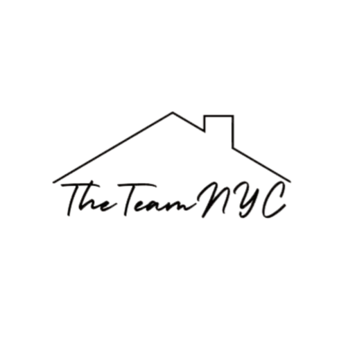 TheTeamNYC logo
