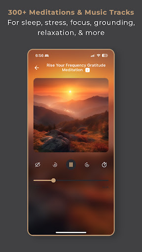 Screenshot of Pura Rasa