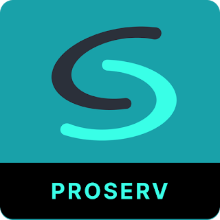 ConnectSei ProServ