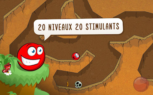 Aperçu de l'application