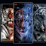 Cover Image of Download Animals HD Wallpaper-TIGER 4K  APK