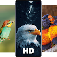 Birds Wallpapers HD - Parrot Wallpaper-Eagle Walls