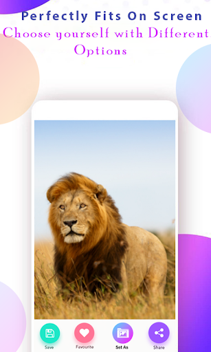 Lion Wallpaper HD Screenshot 4 - AppWisp.com