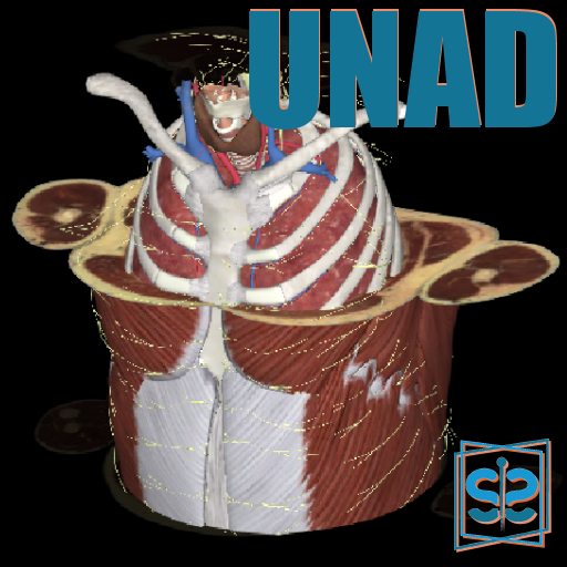 3Dissect Thorax UNAD logo