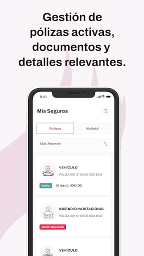 Seguros Continental Screen 2