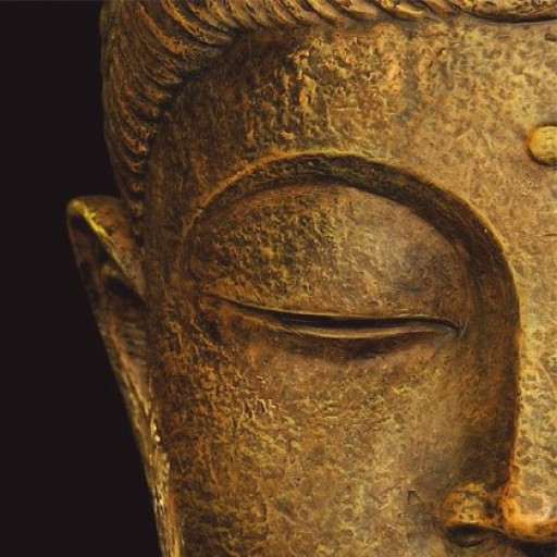 Buddha83 logo