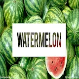 Health Benefits Of Watermelon icon