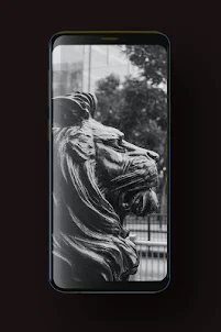 Lion Wallpaper HD, GIF