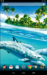 Magic Touch: Dolphins For PC installation