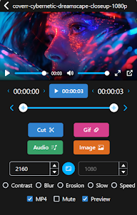 Vídeo para GIF, MP4, MP3