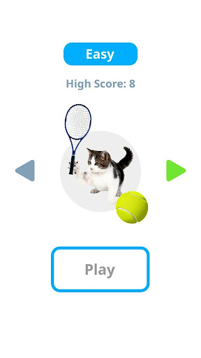 Tennis Cat Meme Sport Master