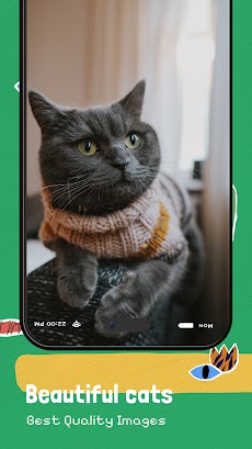 Cute Cat Wallpapers - 4Kのおすすめ画像3