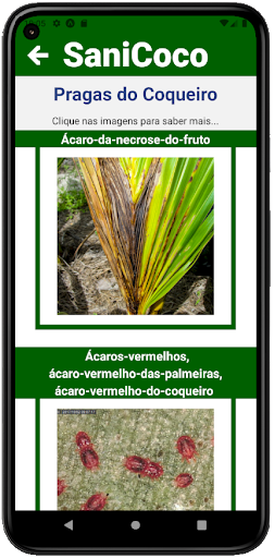 SaniCoco Screen 2