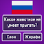Скриншот