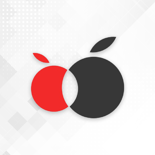 BerryPay Malaysia logo