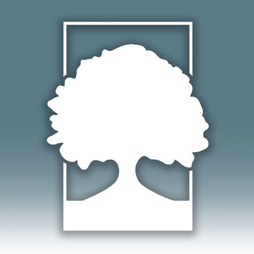 SouthPas Mobile logo