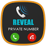 Display private number icon