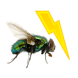 Fly Killer icon