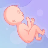Pregnancy, Childbirth, Prenatal, & Maternity Info icon