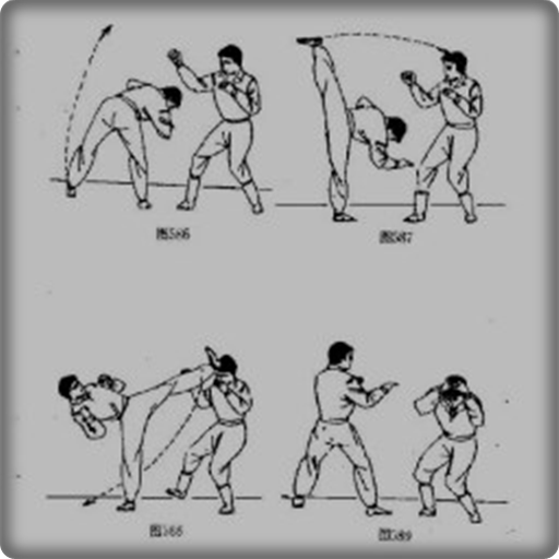 wushu movement