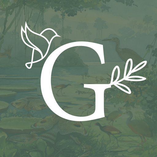 Goeldi RA logo