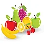 Fruit Quiz: Learn Fruit Names