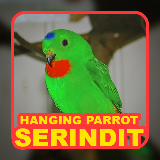 Suara Serindit: Hanging Parrot