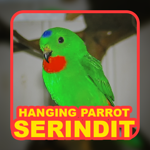 Suara Serindit: Hanging Parrot logo