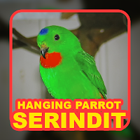 Suara Serindit Hanging Parrot