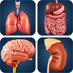 「My Organs Anatomy」のアイコン画像