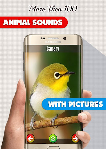 Animal Sounds: With Images Screen 2