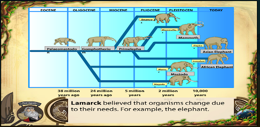 Android application Theories of Evolution screenshort
