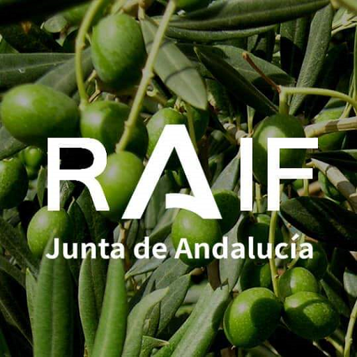 RAIF Andalucía  Icon