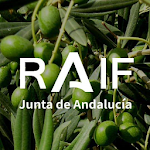Cover Image of 下载 RAIF Andalucía  APK