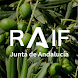 RAIF Andalucía