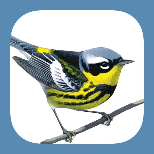 Sibley Birds 2nd Edition 1.1.9 Icon