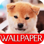 Cover Image of Download Wallpaper Dog Collection  APK