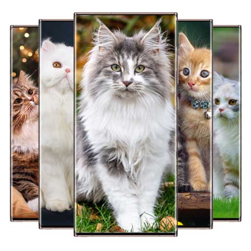 Cat Wallpaper logo