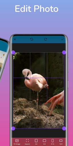 PicMotion - Photo Motion Maker Screen 2