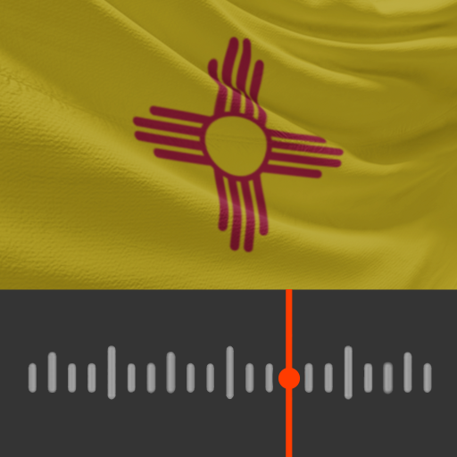 New Mexico Radio Stations logo