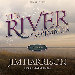 Icon image The River Swimmer: Novellas