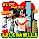 Lagu Aldy Maldini & Salshabilla icon