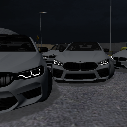Driving Simulator BMW 2