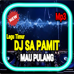 Cover Image of ดาวน์โหลด DJ Sa Pamit Mau Pulang TikTok Offline 1.1 APK