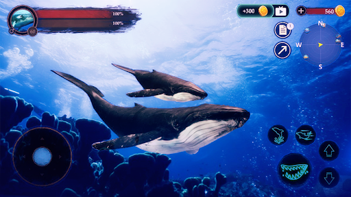 Android application The Humpback Whales screenshort