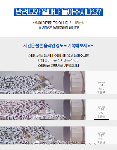 냥이야 놀자 Screen 2
