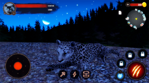 The Leopard Screen 3